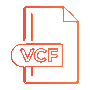 Converts Large vCard Files Instantly